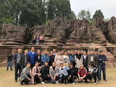 乐动手机入口组织2019年度员工旅游活动